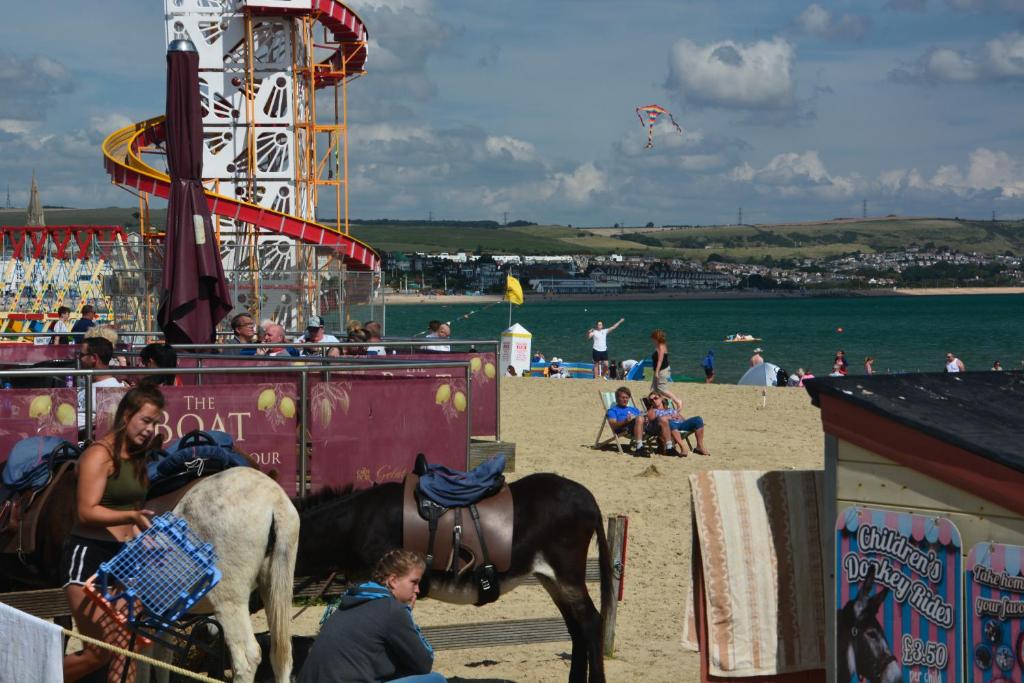 Greenlands Salsa Eco room 1