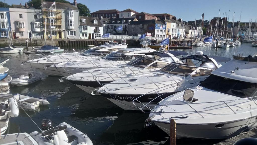 Greenlands Salsa Eco room 2